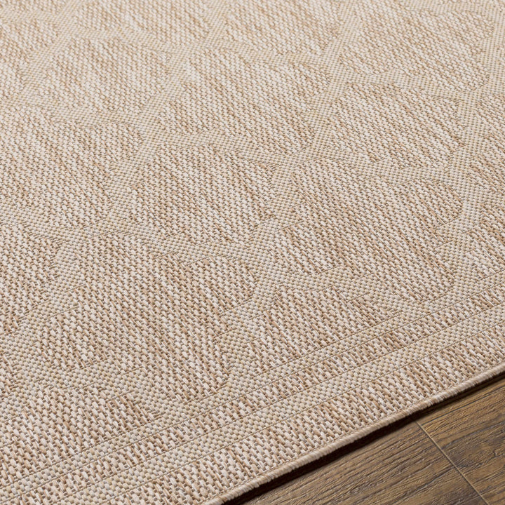 Noam Traditional Style Tan And Beige Indoor & Outdoor Rug