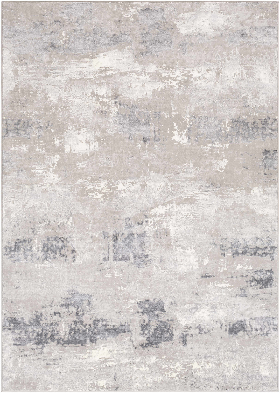 Neponsit Modern Abstract Design Gray Area Rug