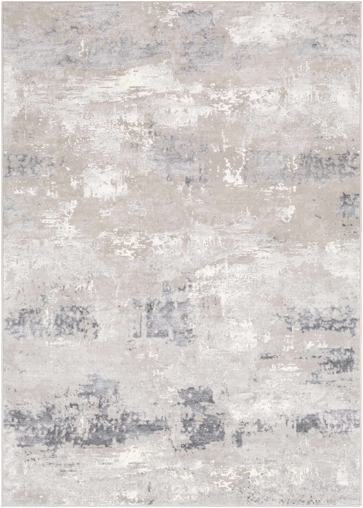Neponsit Modern Abstract Design Gray Area Rug