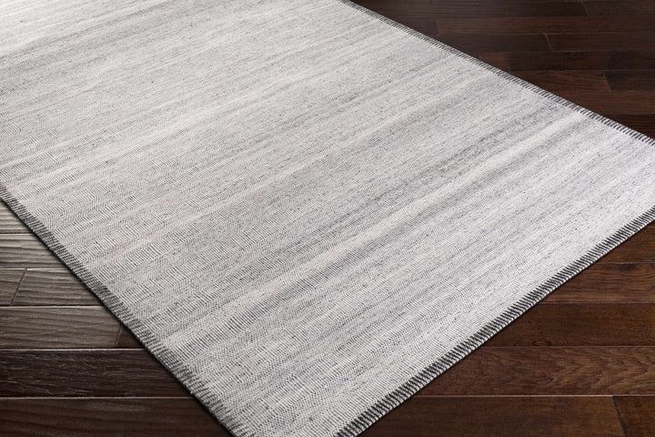 Nettleham Modern Style Silver Hand Woven Area Rug