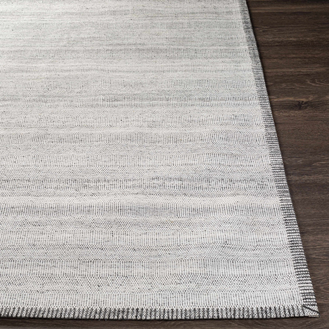 Nettleham Modern Style Silver Hand Woven Area Rug