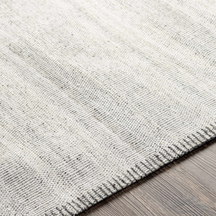 Nettleham Modern Style Silver Hand Woven Area Rug