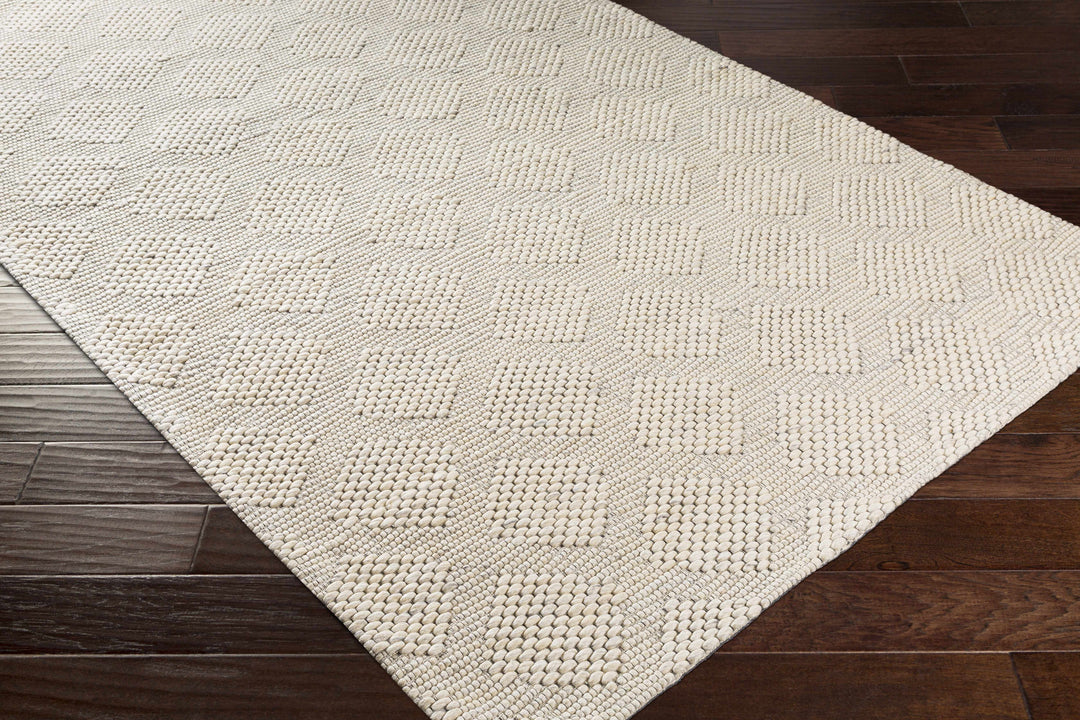 Ingram Ivory Modern Style Hand Woven Wool Area Rug