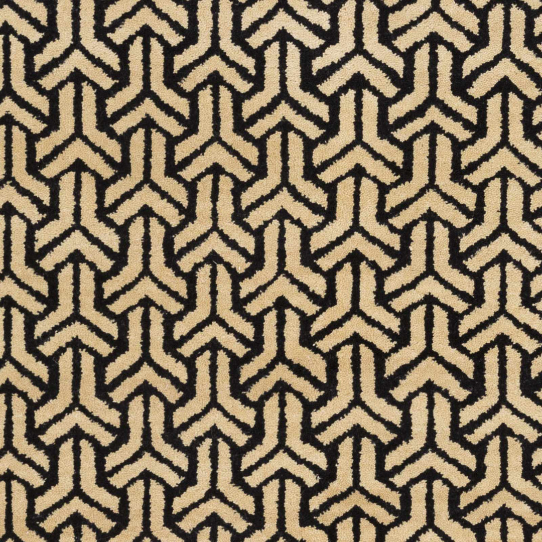 Niangua Beige And Black Modern Style Hand Knotted Area Rug - The Rug Decor