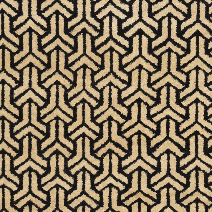 Niangua Beige And Black Modern Style Hand Knotted Area Rug - The Rug Decor
