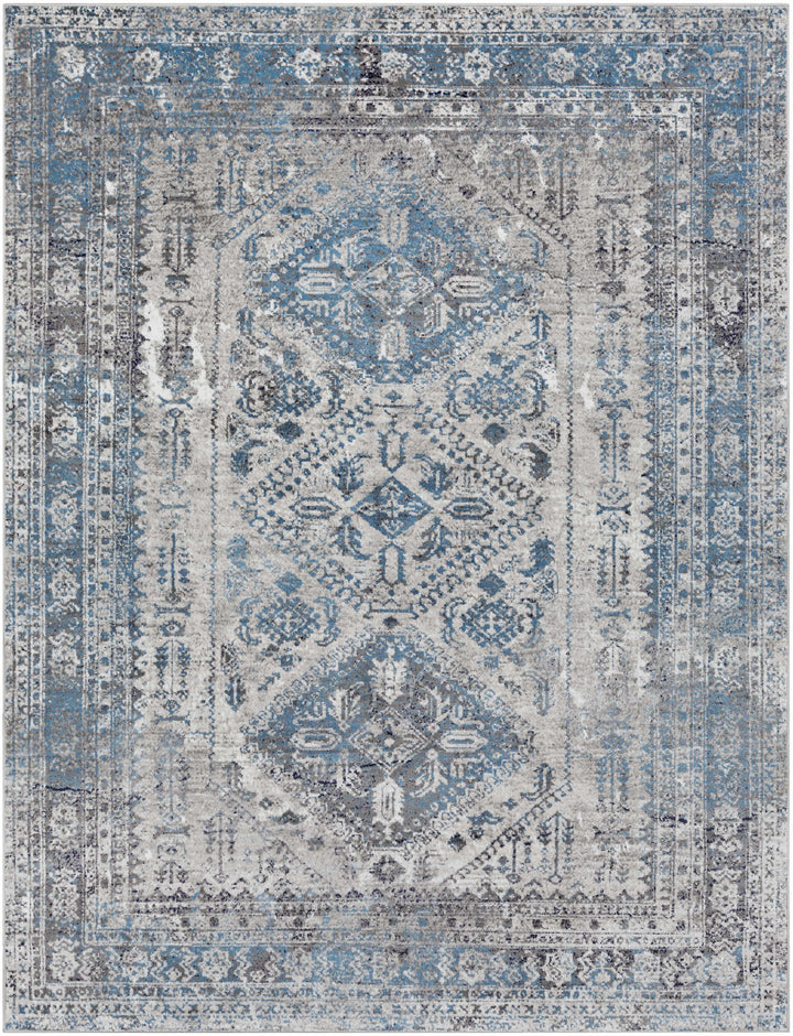 Nisula Traditional Style Blue And Gray Area Rug