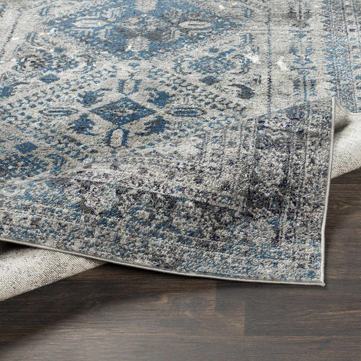 Nisula Traditional Style Blue And Gray Area Rug