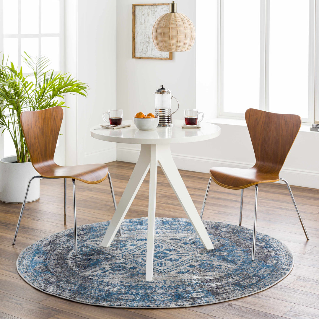 Nisula Traditional Style Blue And Gray Area Rug