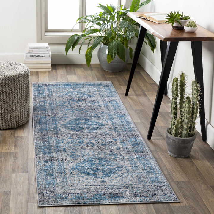 Nisula Traditional Style Blue And Gray Area Rug