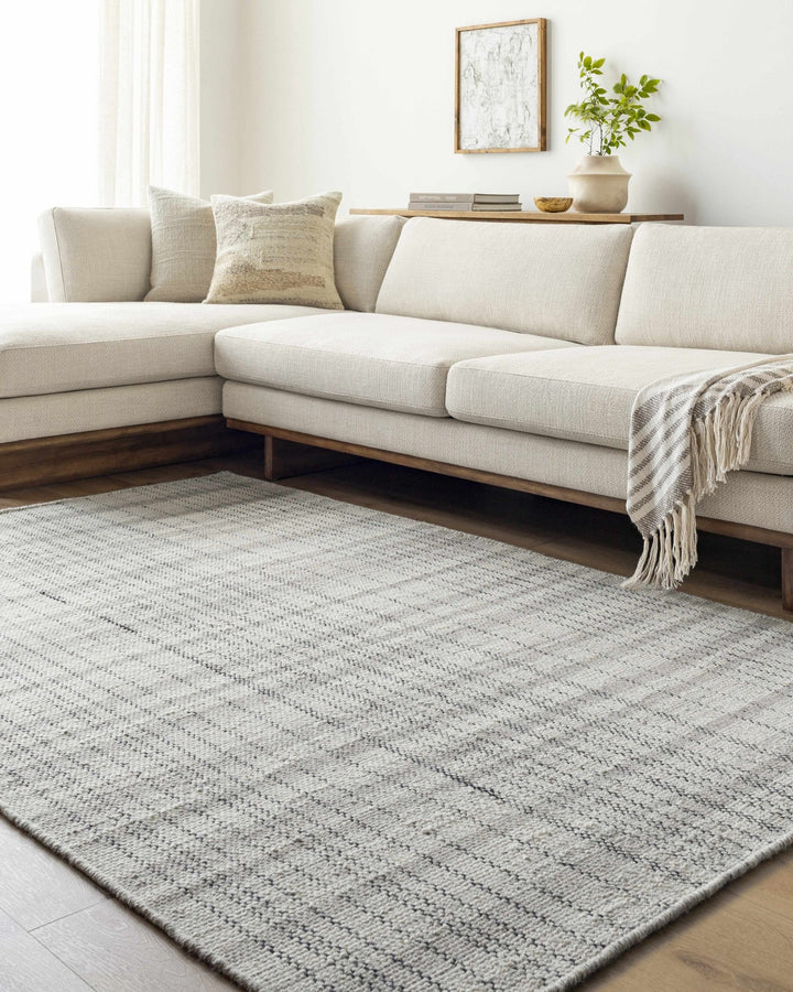 Nissa Gray Modern Checkered Pattern Hand Woven Wool Area Rug - The Rug Decor