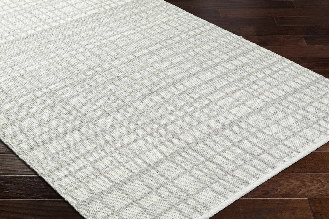 Nissa Light Gray Modern Style Hand Woven Wool Area Rug - The Rug Decor