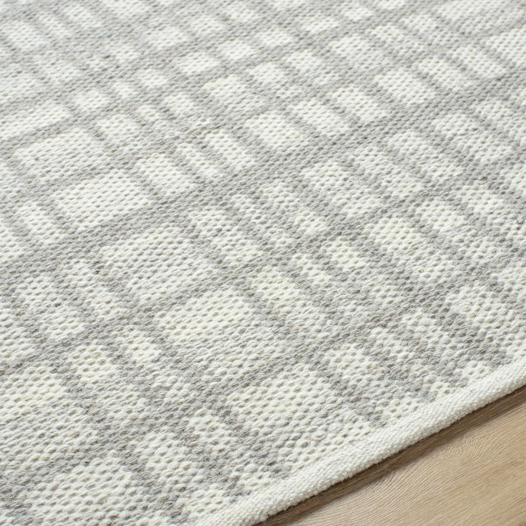Nissa Light Gray Modern Style Hand Woven Wool Area Rug - The Rug Decor