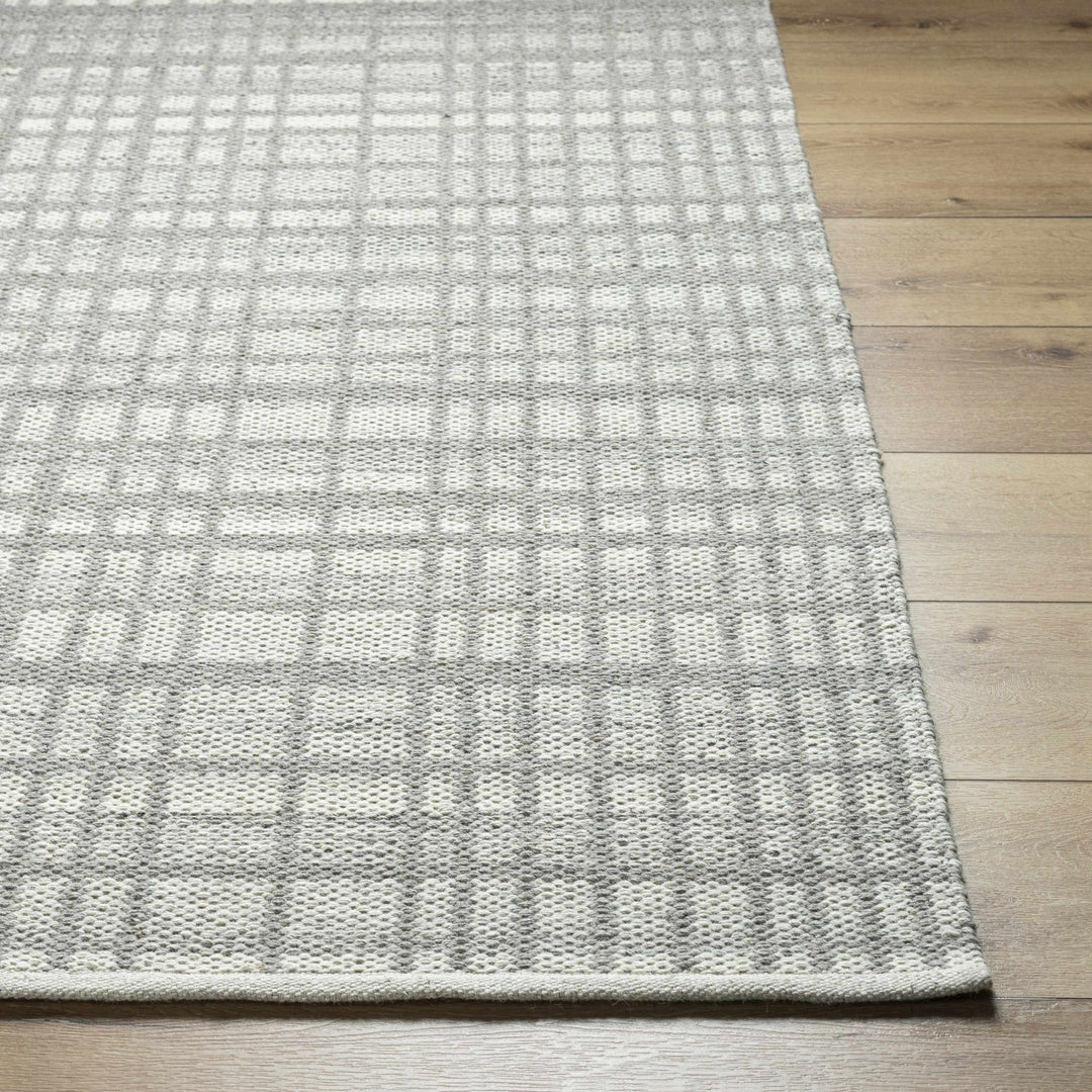 Nissa Light Gray Modern Style Hand Woven Wool Area Rug - The Rug Decor