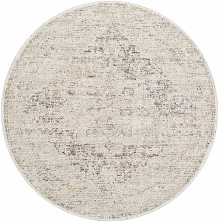 Njeri Traditional Style Beige & Taupe Rug - The Rug Decor
