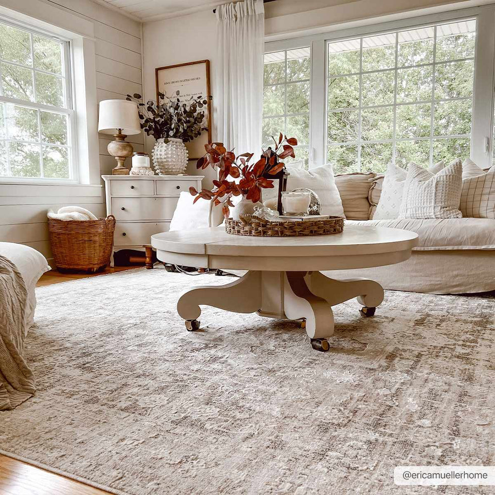 Njeri Traditional Style Beige & Taupe Rug - The Rug Decor
