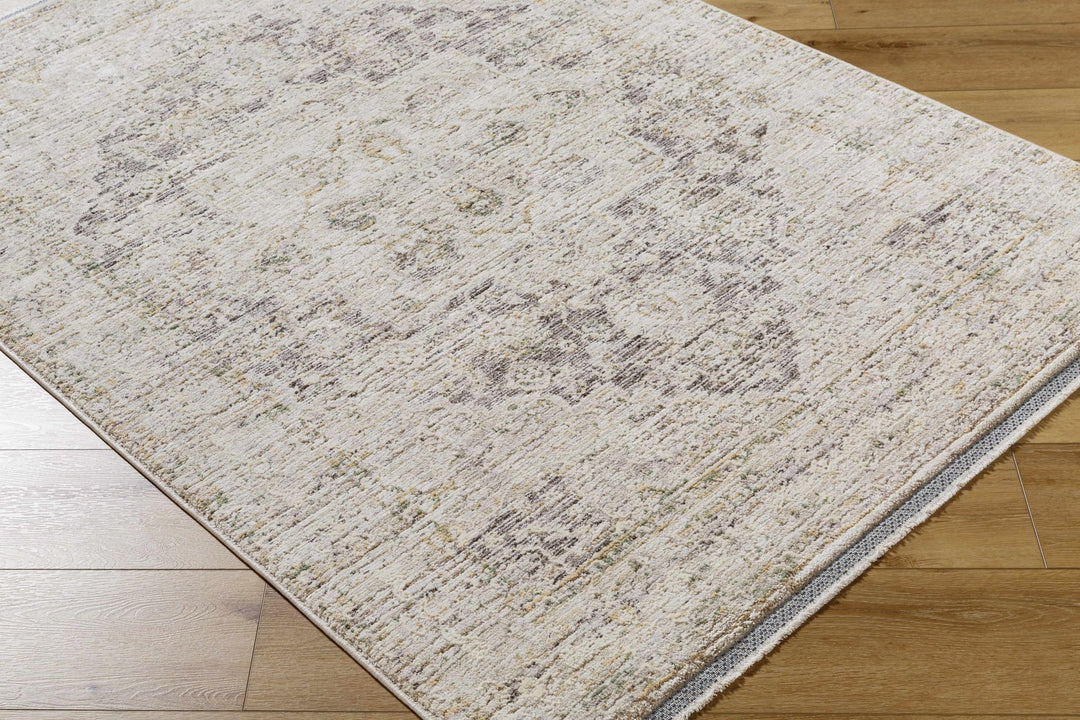 Njeri Traditional Style Beige & Taupe Rug - The Rug Decor