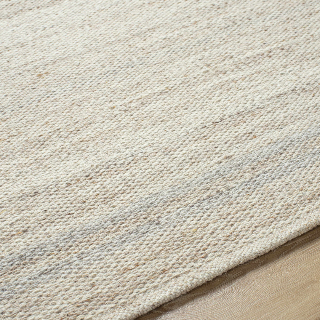 Nimue Beige Modern Style Hand Woven Wool Area Rug