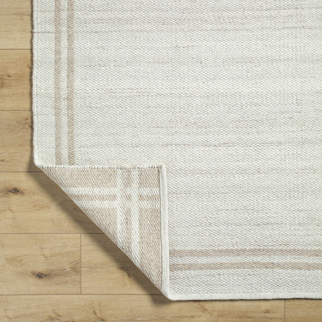 Nimue Modern Style Beige And Brown Hand Woven Wool Area Rug