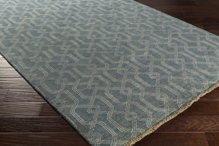 Nolensville Modern Geometrical Design Gray Hand Knotted Area Rug