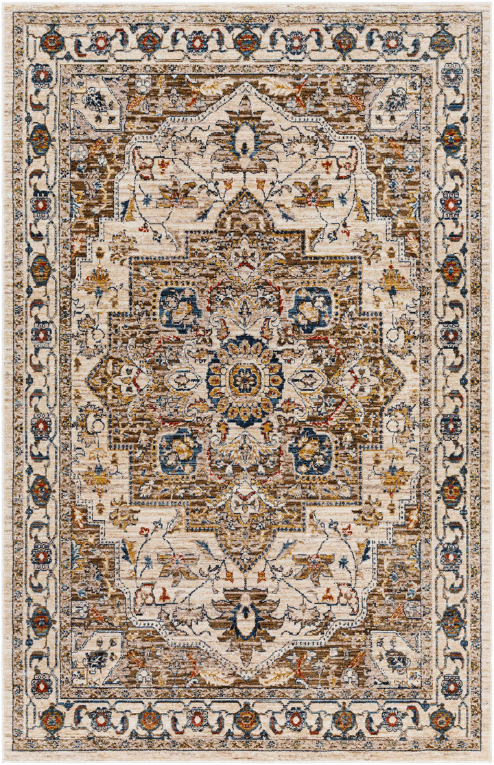 Anas Traditional Style Brown And Ivory Area Rug
