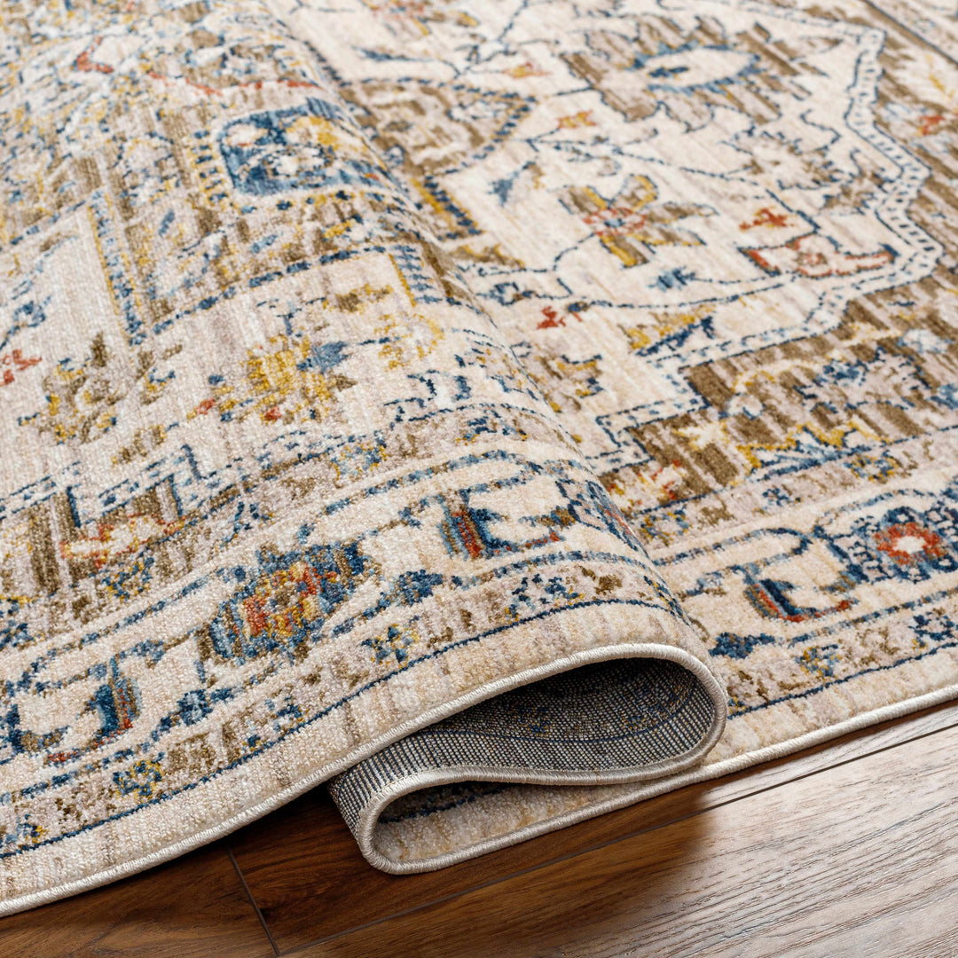 Anas Traditional Style Brown And Ivory Area Rug