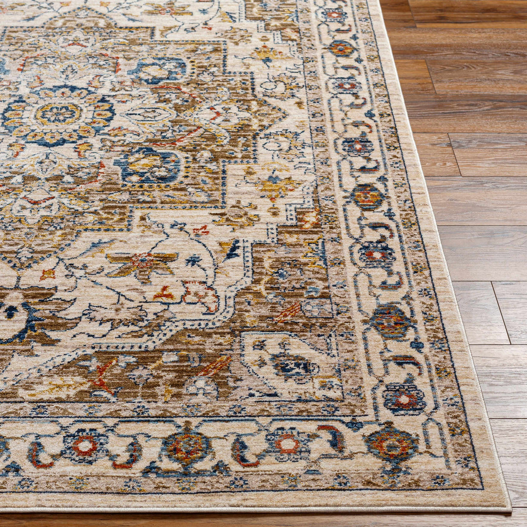 Anas Traditional Style Brown And Ivory Area Rug