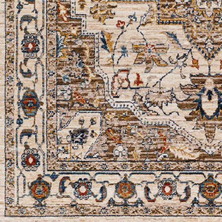 Anas Traditional Style Brown And Ivory Area Rug