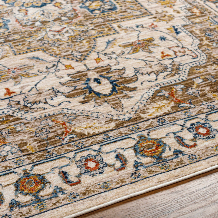 Anas Traditional Style Brown And Ivory Area Rug