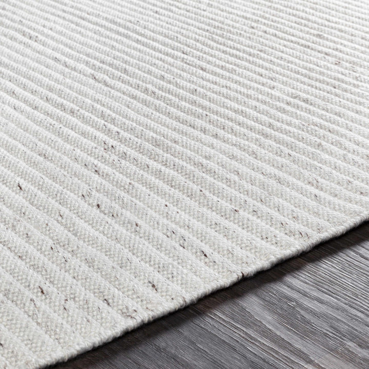 Nuangola Modern Style Ivory Hand woven Area Rug - The Rug Decor