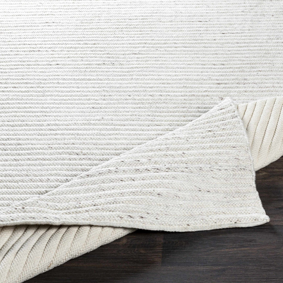 Nuangola Modern Style Ivory Hand woven Area Rug - The Rug Decor