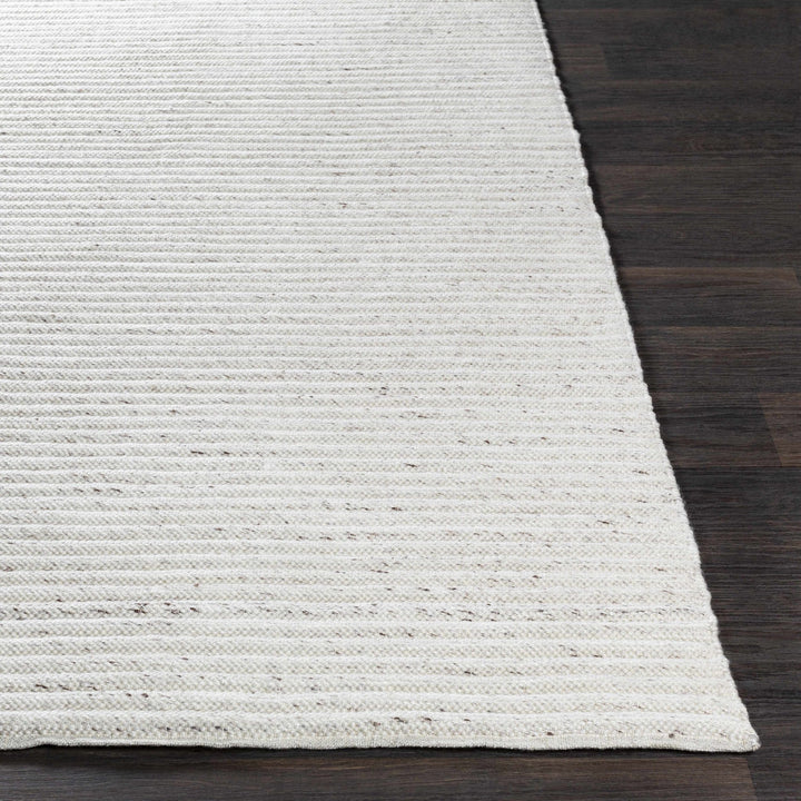 Nuangola Modern Style Ivory Hand woven Area Rug - The Rug Decor