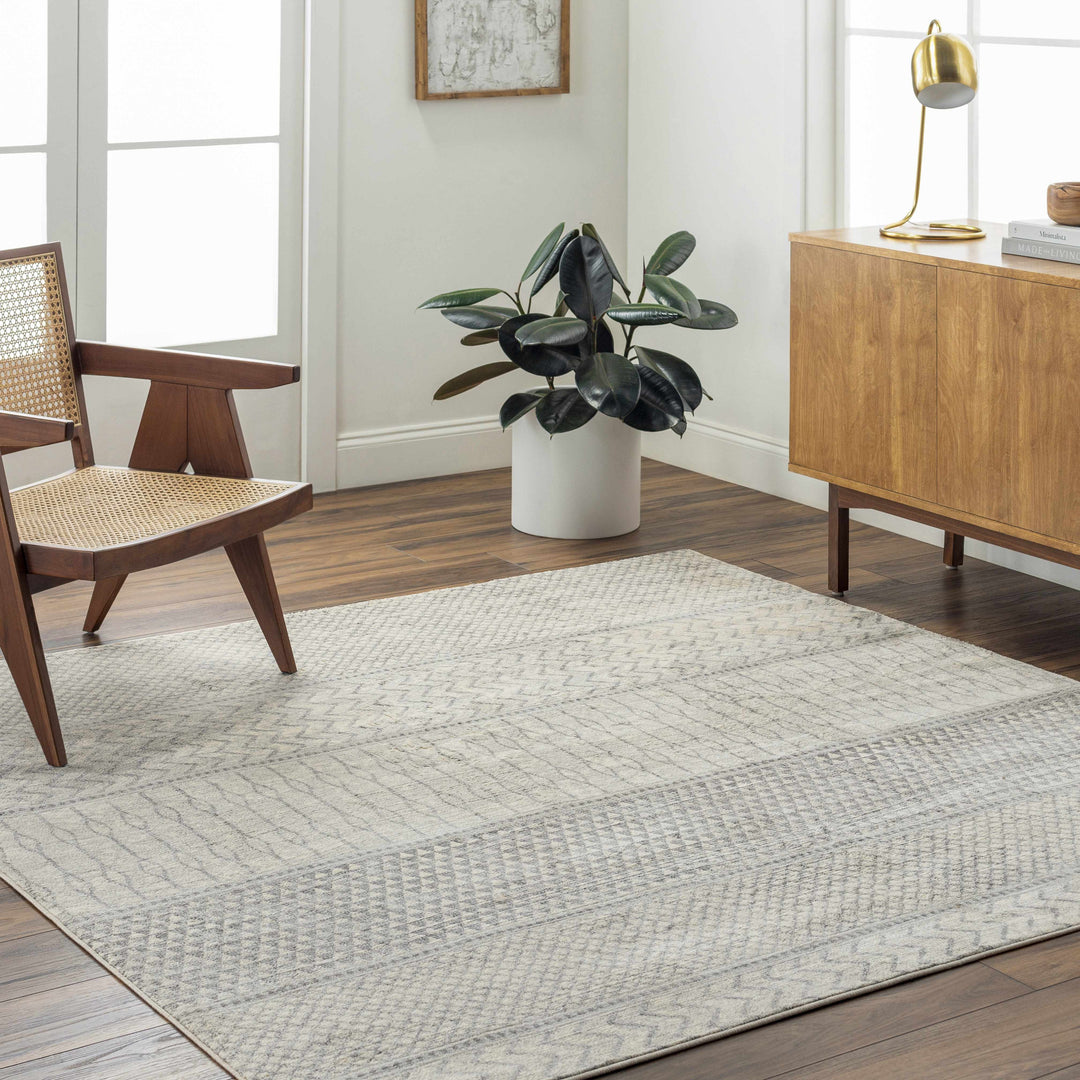 Nunda Gray And Beige Modern Style Area Rug