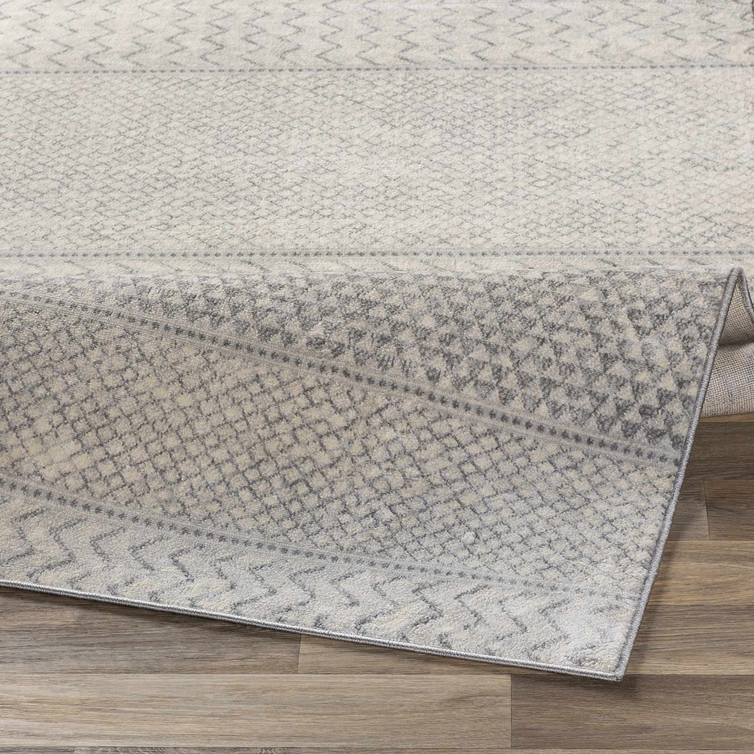 Nunda Gray And Beige Modern Style Area Rug