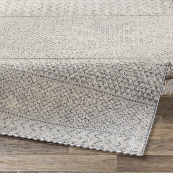 Nunda Gray And Beige Modern Style Area Rug