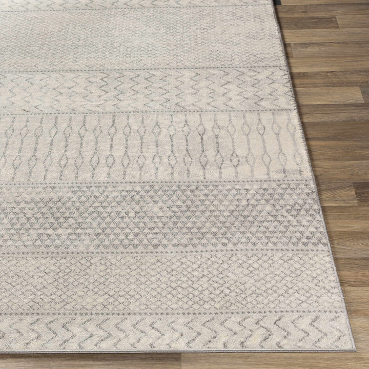 Nunda Gray And Beige Modern Style Area Rug