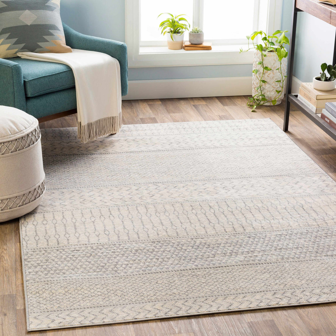 Nunda Gray And Beige Modern Style Area Rug