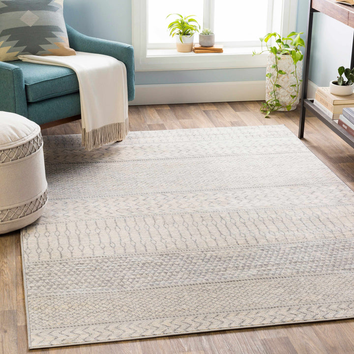 Nunda Gray And Beige Modern Style Area Rug