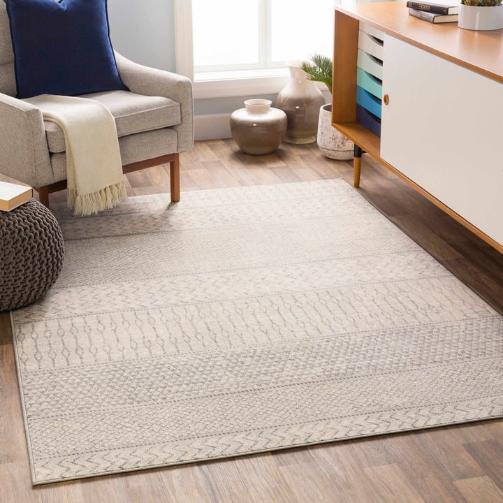 Nunda Gray And Beige Modern Style Area Rug