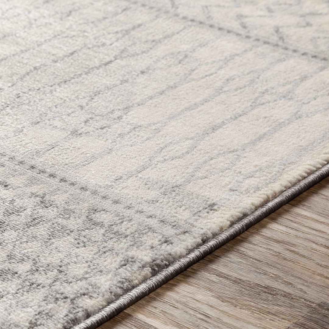 Nunda Gray And Beige Modern Style Area Rug