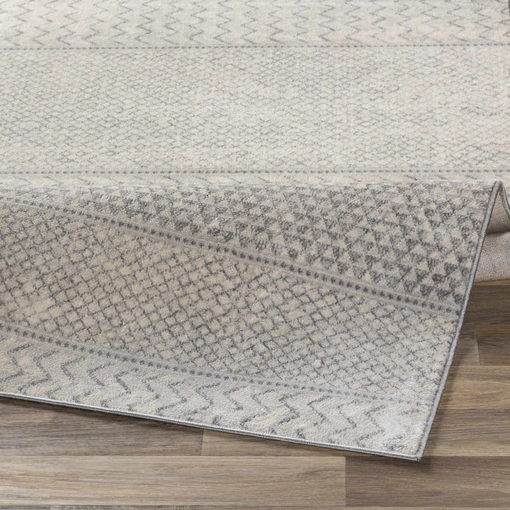 Nunda Gray And Beige Modern Style Area Rug - The Rug Decor