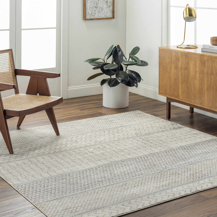 Nunda Gray And Beige Modern Style Area Rug - The Rug Decor