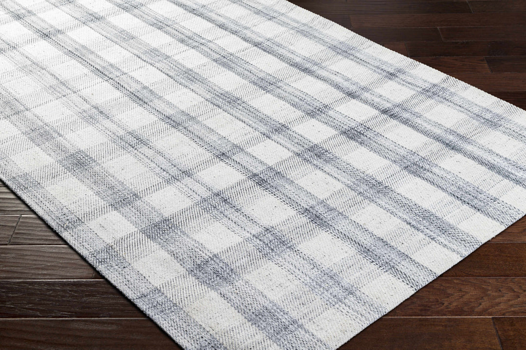 Sammy Contemporary Style Gray And White Hand Woven Area Rug