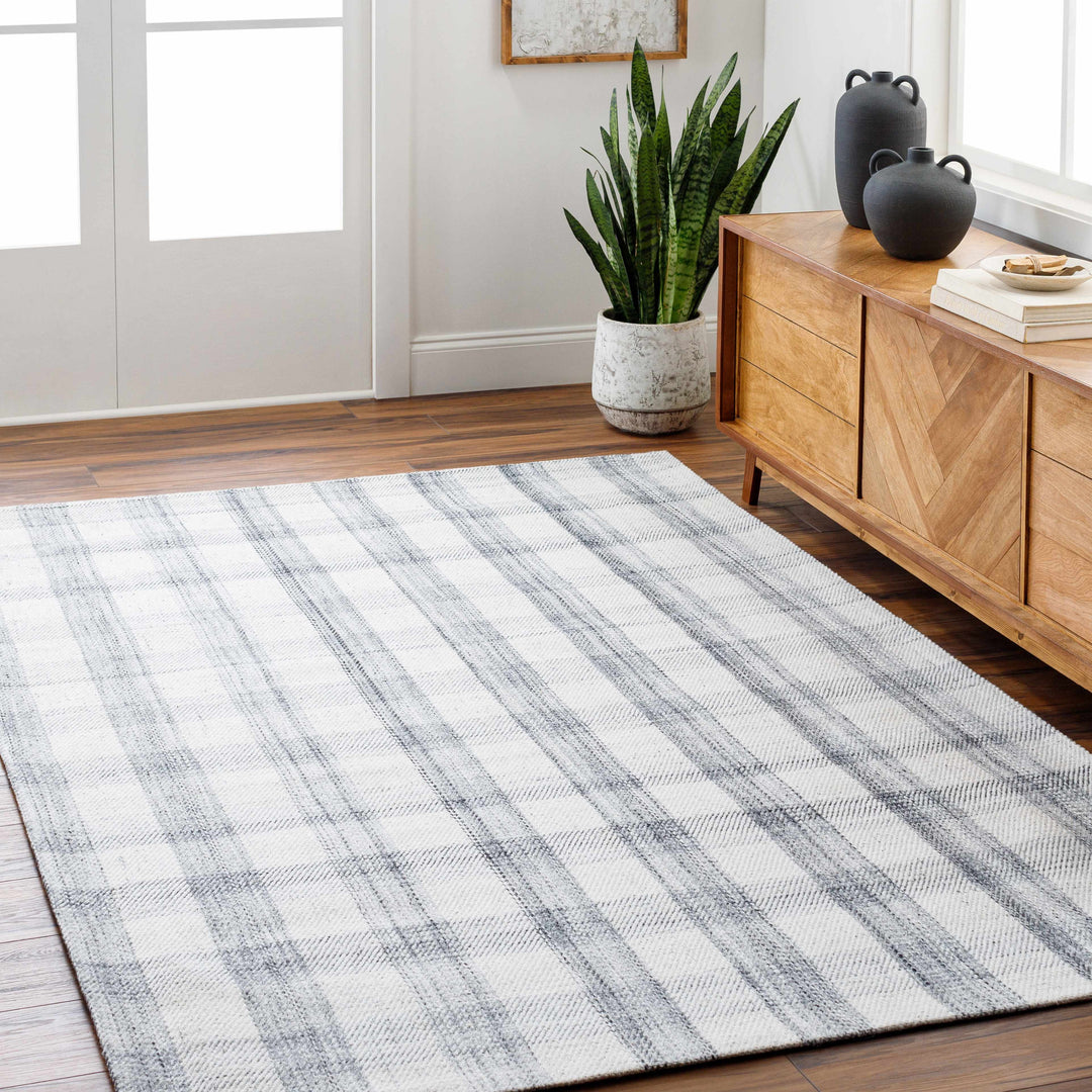Sammy Contemporary Style Gray And White Hand Woven Area Rug