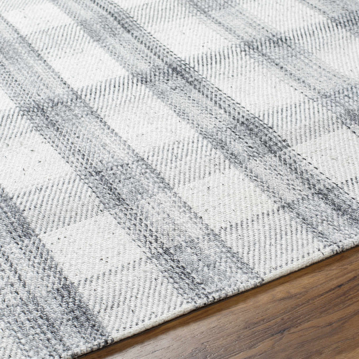 Sammy Contemporary Style Gray And White Hand Woven Area Rug