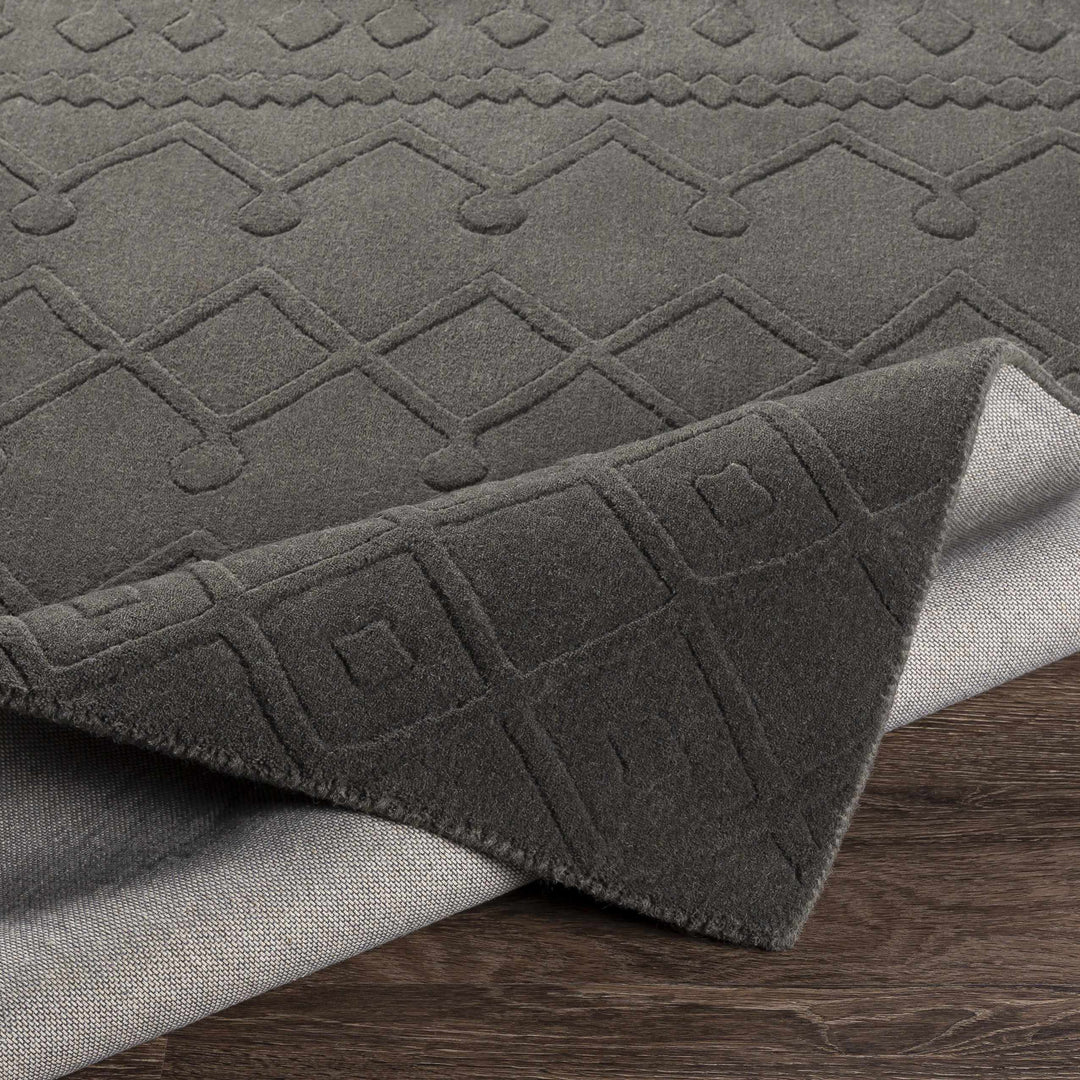Newtonhill Charcoal Modern Style Hand Loom Area Rug