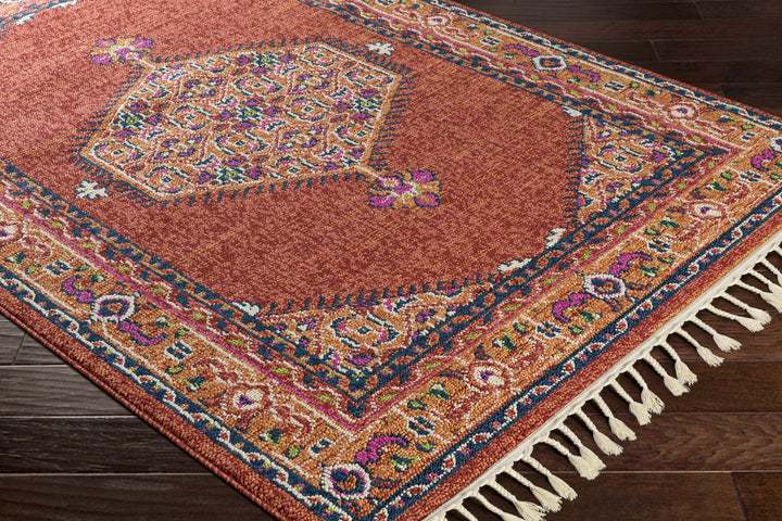 Oban Traditional Style Rust And Pink Area Rug