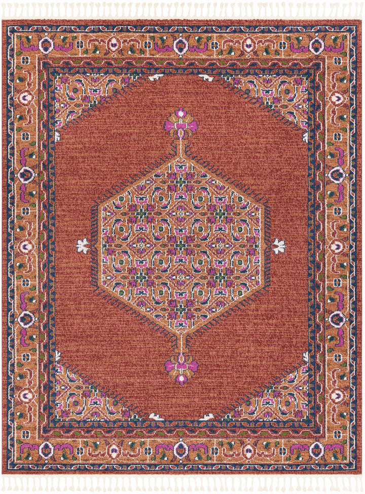 Oban Traditional Style Rust And Pink Area Rug