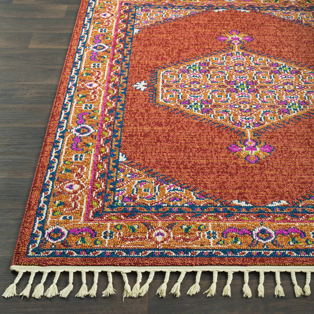 Oban Traditional Style Rust And Pink Area Rug