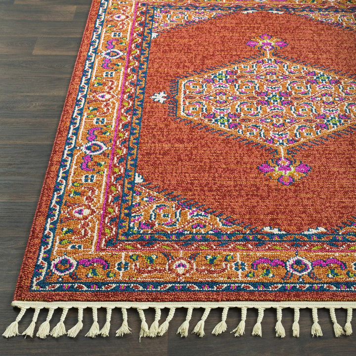 Oban Traditional Style Rust And Pink Area Rug - The Rug Decor