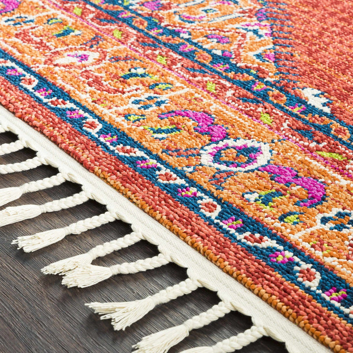 Oban Traditional Style Rust And Pink Area Rug - The Rug Decor